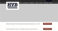 Desktop Screenshot of ibk.dk
